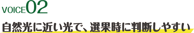 voice02 自然光に近い光で、選果時に判断しやすい